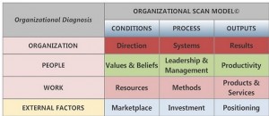 cultural due diligence Organizational Scan V3 300x130 - Organizational Scan